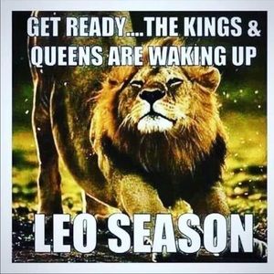 Meet your Posher, Diamond